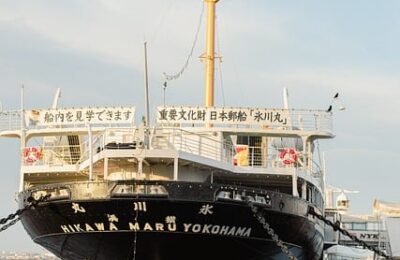 怎么用鲜薄荷叶制作饮品 ， 怎么用鲜薄荷叶制作饮品缩略图