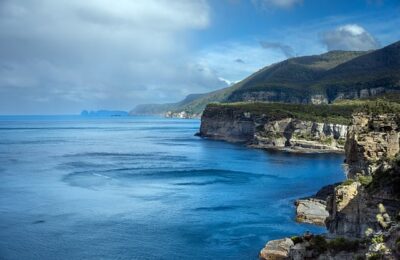 菊花茶如何制作 ， 菊花茶的制作工艺与文化传承缩略图