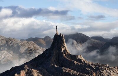 八宝景天有毒吗？ ， 八宝景天：美丽与药用价值并存的多肉植物缩略图