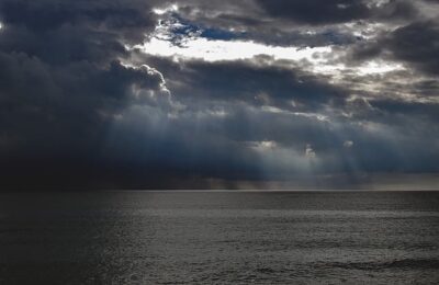 碰碰香有毒吗？ ， 可以长时间放在室内吗?缩略图