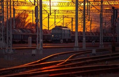 萱草的食用价值及观赏价值 ， 萱草的前世今生与文化寓意缩略图