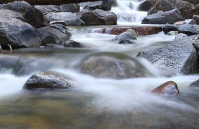水仙花适合在室内种植吗？ ， 水仙花适合在室内种植吗？缩略图