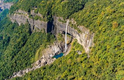 吊兰家居的风水摆放 ， 吊兰的品种与养护：从青翠瀑布到斑斓色彩缩略图