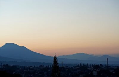 蟹爪兰作用大全 ， 探秘蟹爪兰：从花卉欣赏到科学养护缩略图