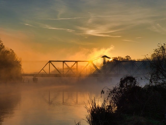 风信子的功效及其作用 , 探秘风信子:从花语到栽培插图 风信子的功效及其作用 , 探秘风信子:从花语到栽培插图