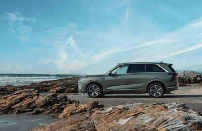 绿梅花的食用方法与价值 ， 绿梅花的食用方法与价值缩略图