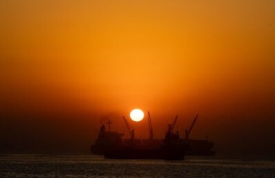 月季花的功效与作用 ， 月季花的品种与栽培缩略图