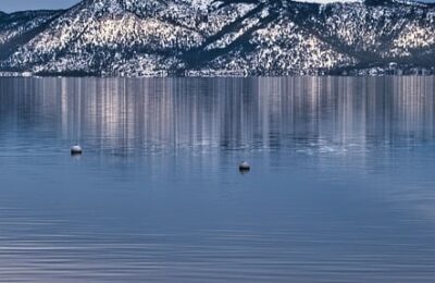 绿梅花的药用价值 ， 绿梅花的种植与应用缩略图