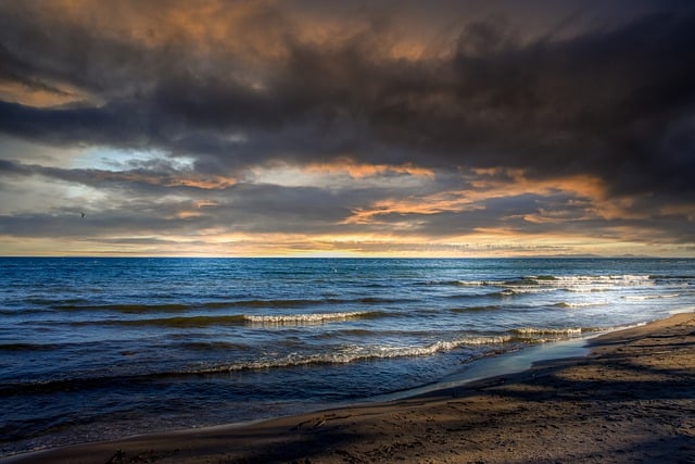 紫罗兰的居家风水作用 , 紫罗兰:优雅花卉背后的文化与养护插图 紫罗兰的居家风水作用 , 紫罗兰:优雅花卉背后的文化与养护插图