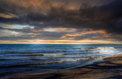 紫罗兰的居家风水作用 ， 紫罗兰：优雅花卉背后的文化与养护缩略图