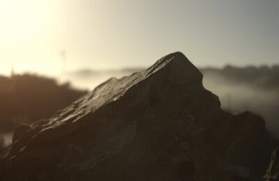 萱草的功效及作用 ， 萱草：不仅仅是“忘忧草”缩略图