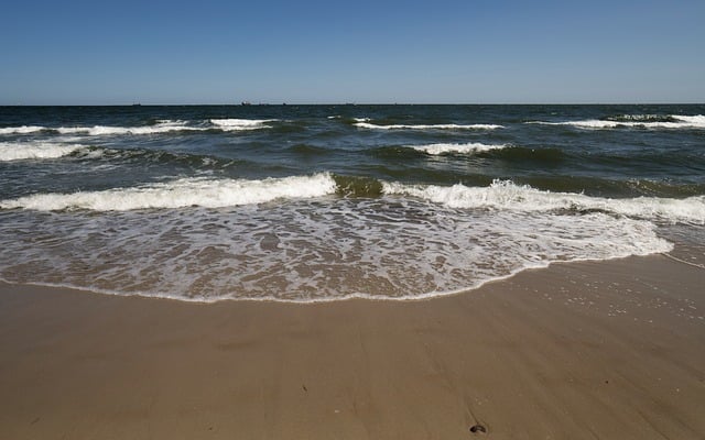 猪笼草的功效与作用 , 猪笼草的功效与作用插图 猪笼草的功效与作用 , 猪笼草的功效与作用插图