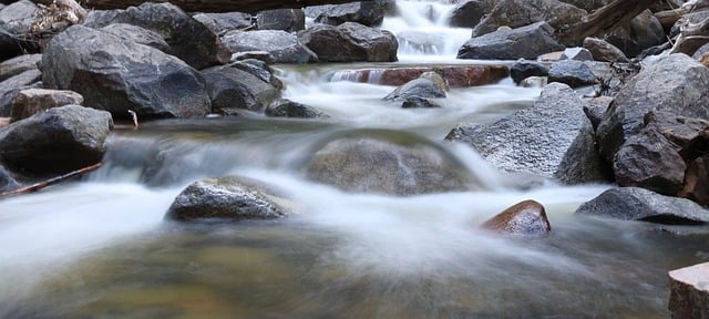 家庭种植三角梅有什么风水作用? , 三角梅的养护与风水应用:提升家居运势的实用指南插图 家庭种植三角梅有什么风水作用? , 三角梅的养护与风水应用:提升家居运势的实用指南插图