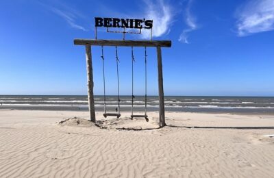 家庭养红掌有什么好处 ， 红掌的品种与养护技巧缩略图