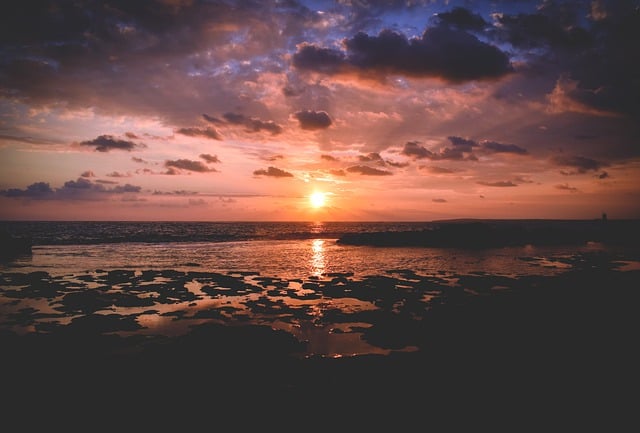 绿萝怎么养才能更旺盛 ，  探秘绿萝：从起源到养护的全面指南插图