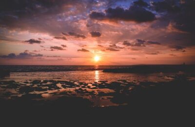 绿萝怎么养才能更旺盛 ，  探秘绿萝：从起源到养护的全面指南缩略图