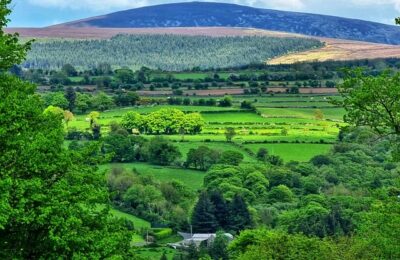 绿萝几月份扦插最好 ， 绿萝的品种与养护技巧缩略图