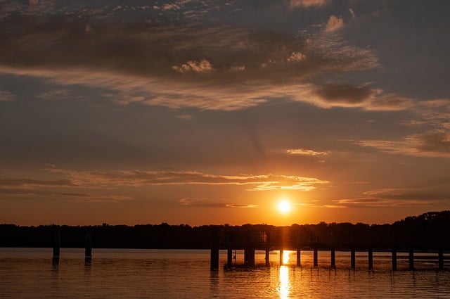 爆仗竹(炮仗竹)的用途和功效 , 爆仗竹:从观赏到药用,绽放多重魅力插图 爆仗竹(炮仗竹)的用途和功效 , 爆仗竹:从观赏到药用,绽放多重魅力插图