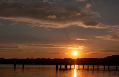 爆仗竹(炮仗竹)的用途和功效 ， 爆仗竹：从观赏到药用，绽放多重魅力缩略图