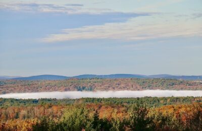 枸杞的药用价值与食用禁忌 ， 枸杞的药用价值与食用禁忌缩略图