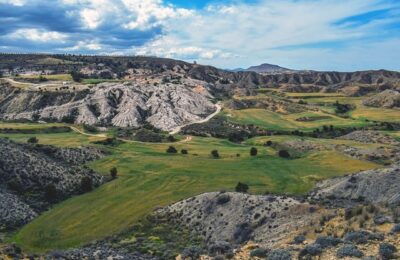 金钻有毒吗，可以放在卧室吗？ ， 金钻的养护与其他你应该知道的缩略图