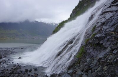 散尾葵的五大作用 ， 散尾葵的五大作用缩略图