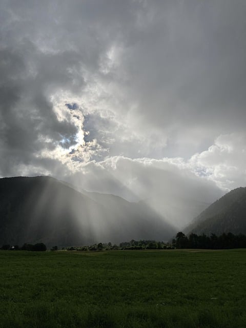 昙花的繁殖 , 昙花的播种繁殖插图 昙花的繁殖 , 昙花的播种繁殖插图