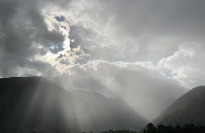 昙花的繁殖 ， 昙花的播种繁殖缩略图