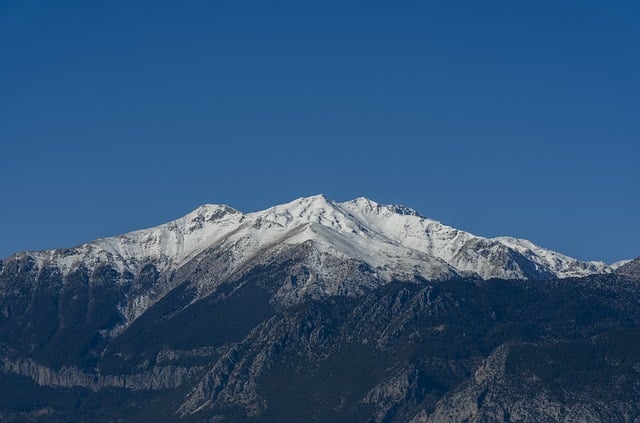 鸿运当头花谢了之后怎么办? , 鸿运当头:花语、养护及繁殖技巧插图 鸿运当头花谢了之后怎么办? , 鸿运当头:花语、养护及繁殖技巧插图