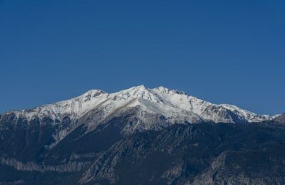 鸿运当头花谢了之后怎么办？ ， 鸿运当头：花语、养护及繁殖技巧缩略图