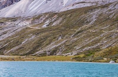 凤仙花能扦插吗？ ， 凤仙花的种植与养护技巧缩略图