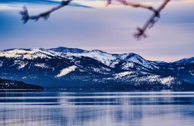 葱兰怎么分盆栽种 ， 葱兰的种植与养护缩略图