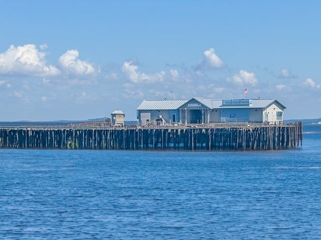 葱兰怎么施肥 , 葱兰施肥的技巧与注意事项插图 葱兰怎么施肥 , 葱兰施肥的技巧与注意事项插图