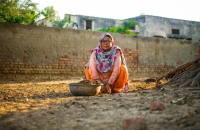 荷包花怎么浇水 ， 荷包花的种植技巧与养护指南缩略图