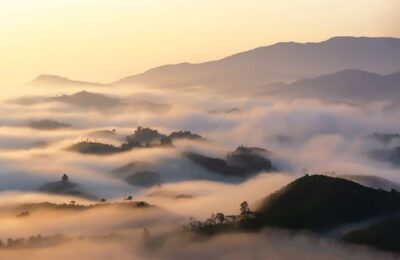 赶紧学会！传承50年的养花绝招，即将失传！ ， 家庭养花：打造绿色空间的实用技巧缩略图