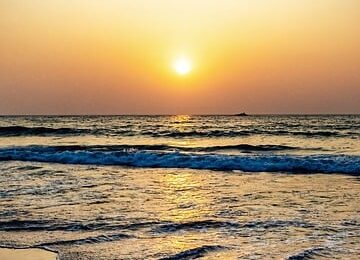 锦带花如何盆栽 ， 锦带花的品种与养护技巧缩略图