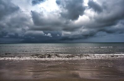 八宝景天有什么用处 ， 八宝景天的种植与应用缩略图