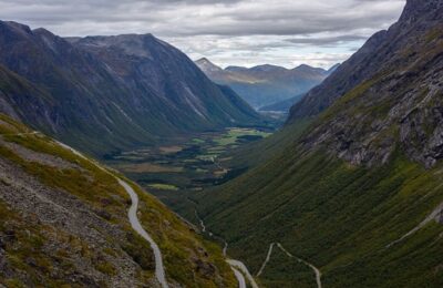 绿萝有毒吗？ ， 绿萝的益处及其在家居环境中的作用缩略图