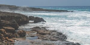 孕妇能喝金银花茶吗？ ， 小编提示缩略图