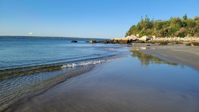 春剑怎么种植 , 春剑怎么种植插图 春剑怎么种植 , 春剑怎么种植插图
