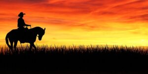 美国薄荷种子怎么种 ， 美国薄荷：种植与养护指南，开启你的薄荷花园缩略图