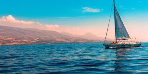 如何使报春花开不断 ， 报春花品种鉴赏与栽培技巧缩略图