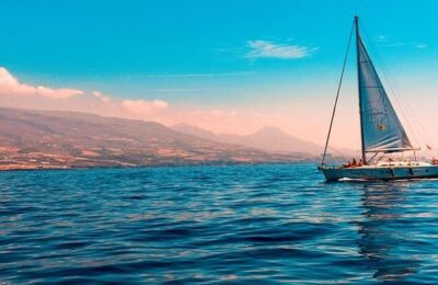 如何使报春花开不断 ， 报春花品种鉴赏与栽培技巧缩略图