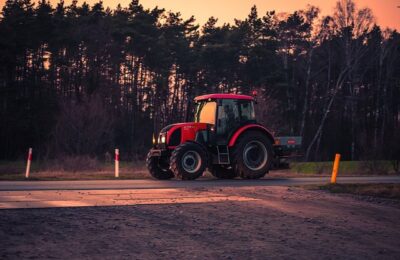 这花千万别花钱买，剪个枝就能活，好看又好养！ ， 家庭扦插：开启你的花卉繁殖之旅缩略图