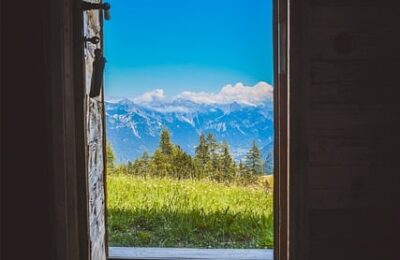 四季桂种子怎么种 ， 四季桂的种植与养护缩略图