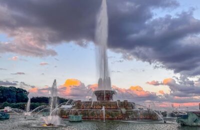 木槿种子怎么种 ， 木槿的种植与养护缩略图