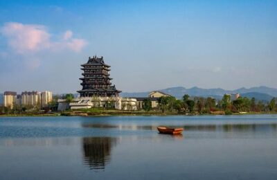 绿萝的作用有哪些 ，  探秘绿萝：不止是简单的室内绿植缩略图