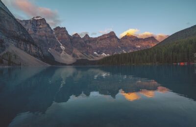 石斛兰的功效及作用有哪些 ， 石斛兰的功效及作用有哪些缩略图