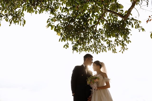 镜面草的繁殖方式有哪些 , 深入了解镜面草:从繁殖到养护插图 镜面草的繁殖方式有哪些 , 深入了解镜面草:从繁殖到养护插图