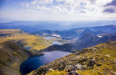 垂钓满天星怎么浇水，垂钓满天星怎么浇水缩略图